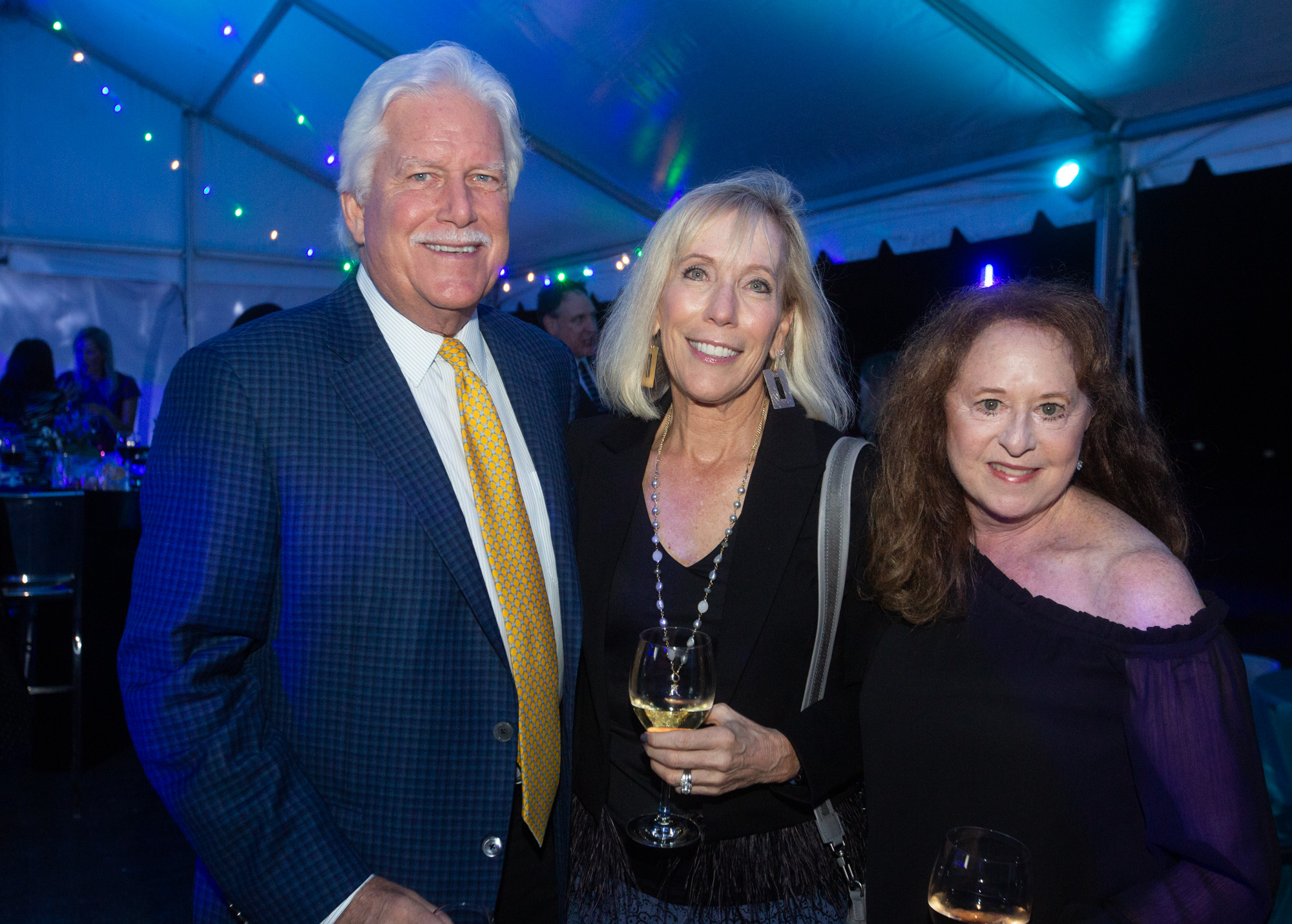 Cheers to South Shore Hospital gala - The Boston Globe